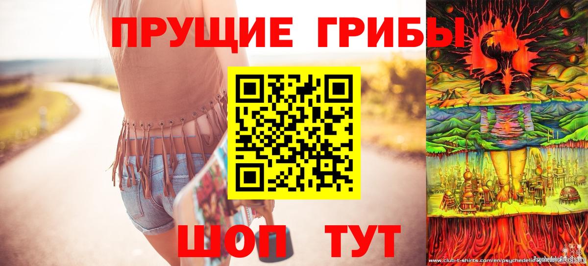 Псилоцибиновые грибы Psilocybine cubensis  Вход с VPN  Барабинск 